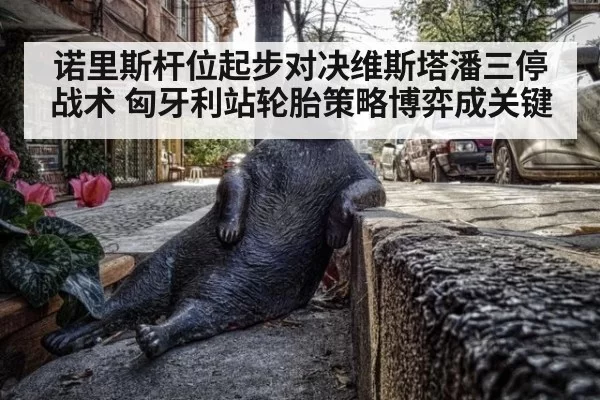 诺里斯杆位起步对决维斯塔潘三停战术 匈牙利站轮胎策略博弈成关键