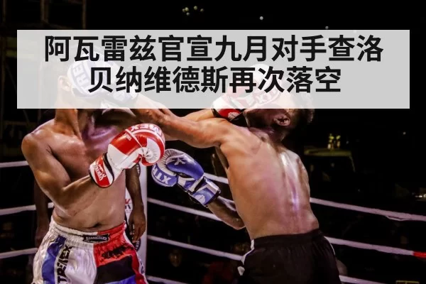 boxer training gloves